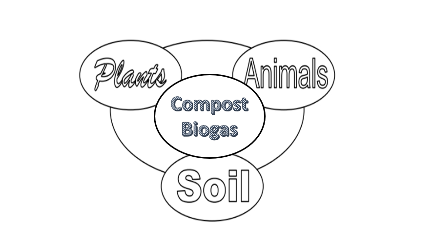 soil, plant, animal around biogas and compost